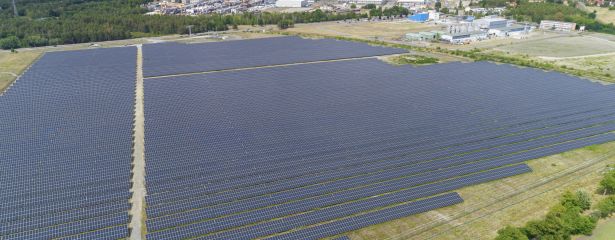 BASF und enviaM nehmen Solarpark in Schwarzheide in Betrieb