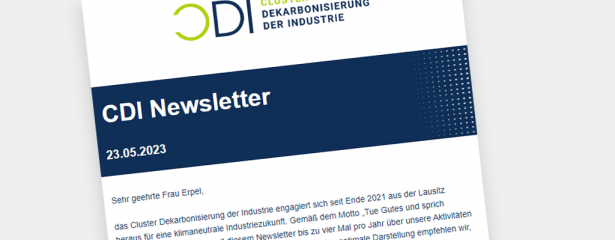 Erste Ausgabe des CDI Newsletters